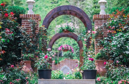 苏 醒的春天,来花谷奇缘赴玫瑰之约