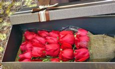 时光花店苔藓永生小熊团购 晋城玫瑰之约，仅需177元