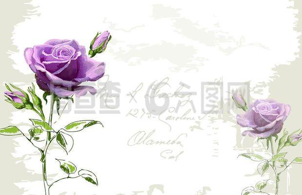 玫瑰之约 一场与美的浪漫邂逅