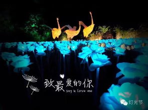 玫瑰之约 昌平首届浪漫玫瑰灯光节隆重开幕