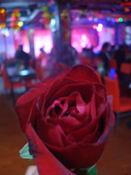 天通苑玫瑰之约相亲会 镜头下的浪漫邂逅