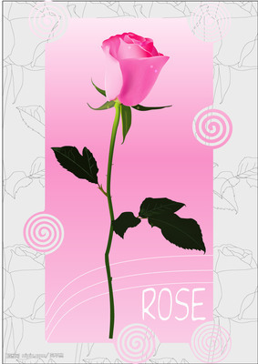 玫瑰之约 矢量图中的浪漫诠释