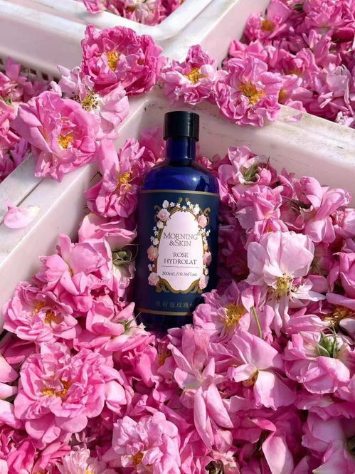 玫瑰之约 携手玫莉蔻，为肌肤开启自然呵护的浪漫旅程