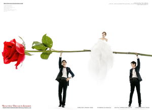 玫瑰之约 一场穿越时光与心意的芬芳盛宴